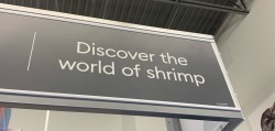 rotking:darksteel-relic:rotking:scarie-carrie:rotking:Can I eat the shrimp….NOCan