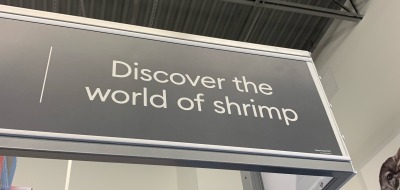 rotking:darksteel-relic:rotking:scarie-carrie:rotking:Can I eat the shrimp….NOCan