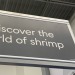 rotking:darksteel-relic:rotking:scarie-carrie:rotking:Can I eat the shrimp….NOCan