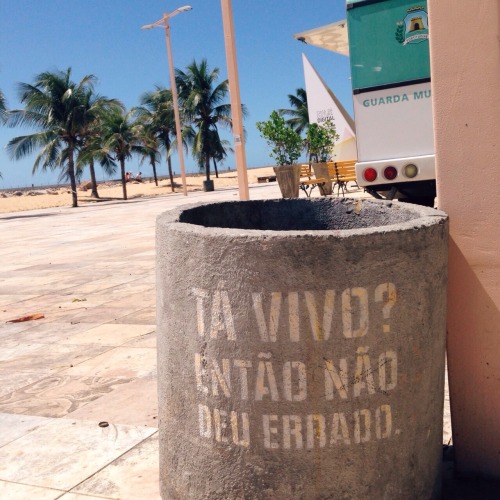 navegantedomar.tumblr.com/post/125716459836/