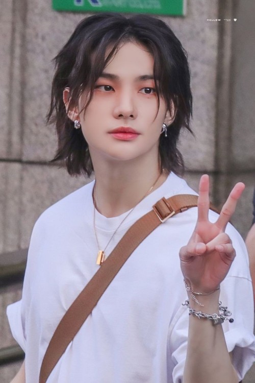 ˗ˏˋ ⌗ 𝙝𝙮𝙪𝙣𝙟𝙞𝙣 ⁎⁺˳ ✧ ˎˊ˗