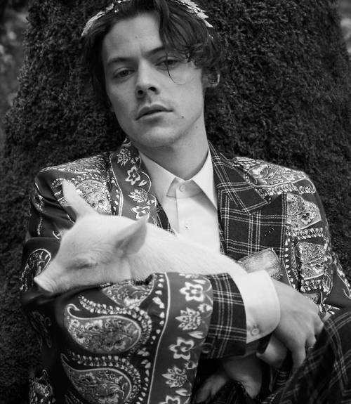 harrystylesdaily:  Harry Styles returns in a new Gucci Tailoring campaign shot by Glen Luchford in the gardens of Villa Lante outside of Rome. 