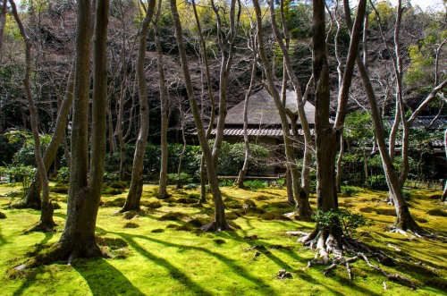 京都フリー写真素材 Photographix