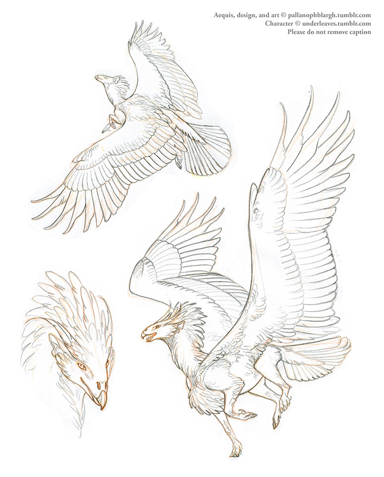 pallanophblargh:  Two more Aequis concepts in process; these are customs for @underleaves