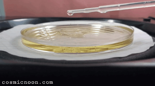 DIY Pilot wave hydrodynamicsApproximately two years ago, we wrote a series of posts covering Pilot w