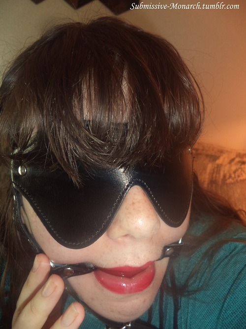 kitten-doll:  submissive-monarch:  casually-collared:  submissive-monarch:  amateurgags:
