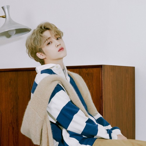 Seungcheol Semicolor Layouts