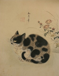 thisishowtheworldends:  Autumn cat in garden with chrysanthemum (1730s) by Byeon Sang-byeok 