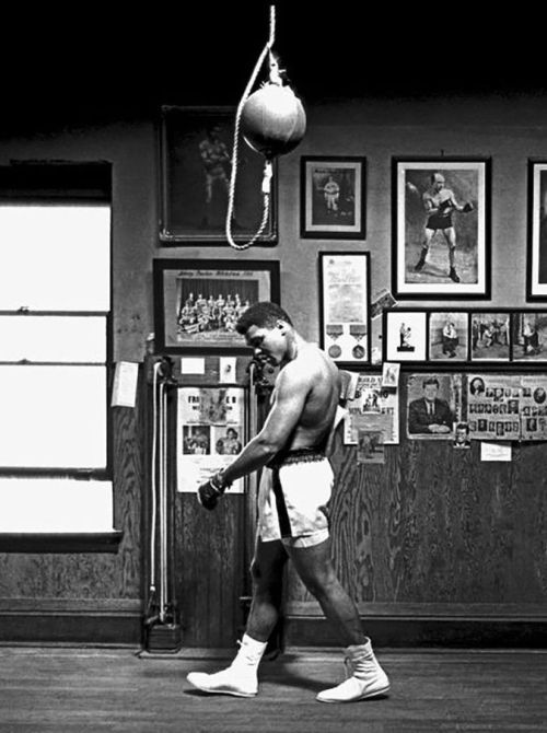 linxspiration:  Ali.