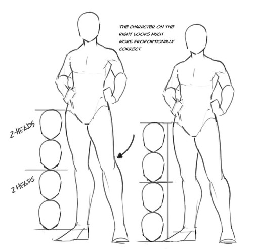 biobugluv: zolariel: Just a quick thing I put together. This blew my fucking MIND when my anatomy te