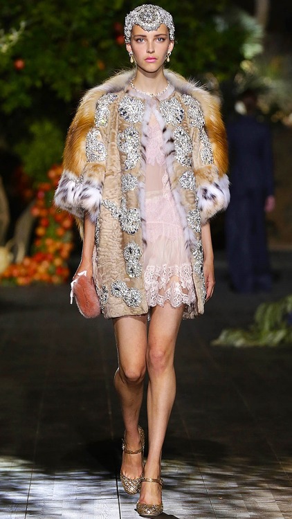 Dolce &amp; Gabbana | Alta Moda Fall/Winter 2015