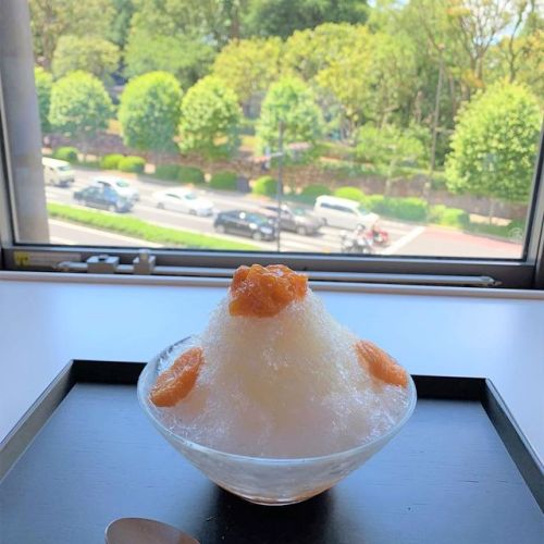 ★ Jun. 16, 2019 Toraya’s Akasaka shop, Tokyo: kori-anzu (lit. ice-apricot) ——– Shaved ice served at 