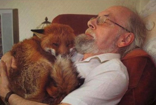 Twitter / CuteEmergency: 12 amazing stories of humans …