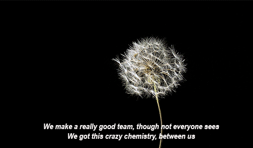 mxsiclyrics:Troye Sivan - for him. ft. Allday