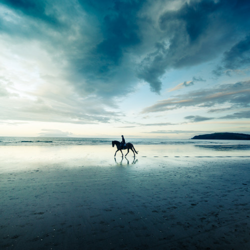 Horse Landscape. To see the full series from Omaha Beach click here.