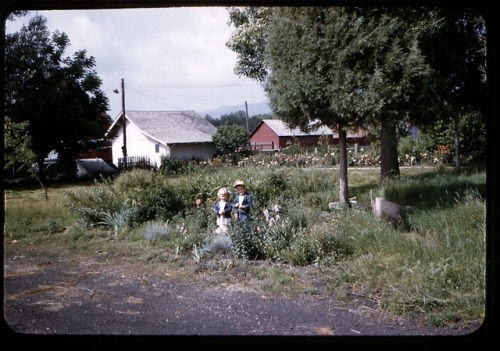 scanning my grandparent’s slide film for practice