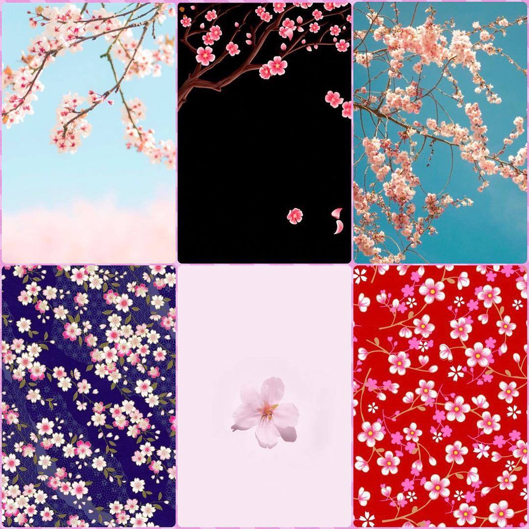 スマホ デコ太郎くんのブログin Tumblr こんばんは 今日は桜 の壁紙を追加しました