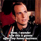 thebluths:  He’s thinking about bees again.