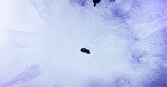 lilyaldrinn-deactivated20141221:game of thrones; season four.
