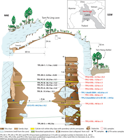 theolduvaigorge:Early Modern Humans and Morphological Variation in Southeast Asia: Fossil Evidence f