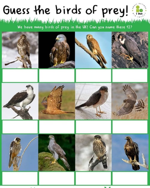 It’s another birdie quiz for you this week. Throughout the UK we have a variety of stunning bi