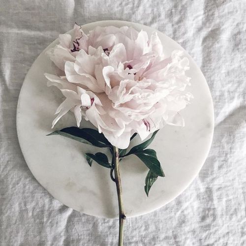 Via*** evaandlou  **
