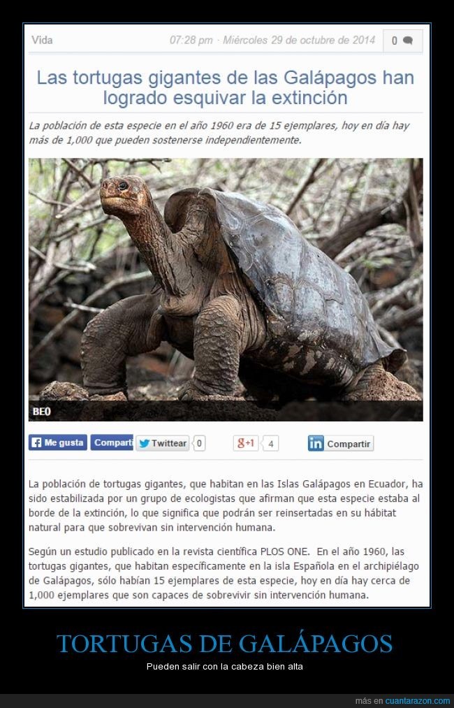 alochucknorris:  La asombrosa recuperación de las tortugas de las Islas Galápagos