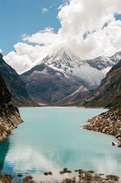 fredtougas:  Andean Mountaineering