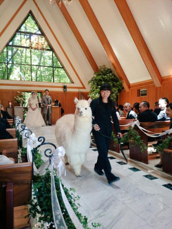 boredpanda:    This Wedding Hall In Japan