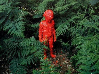 novr:  NILS-UDOChild, wet petals of poppies,1994Forêt de Raimes, FranceIlfochrome