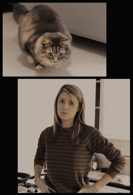 little-kitten-lottie:  Meow 