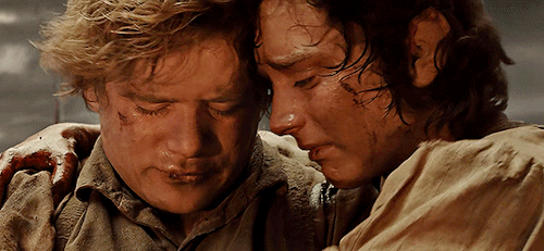 duckily: rue-bennetts: THE LORD OF THE RINGS: THE RETURN OF THE KING (2003) happy pride month learn 