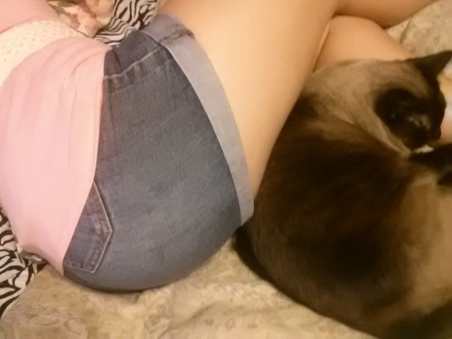 fantabulouloren:  My kitty likes my butt xD haha