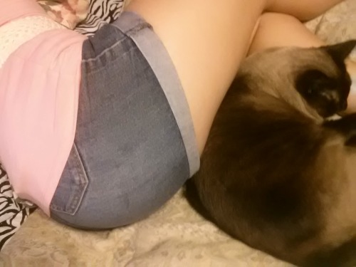 Porn photo fantabulouloren:  My kitty likes my butt