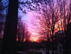 blisstanqle:  Tonight’s sunset was incredibly beautiful. I raced out of my final to take this picture. ❁