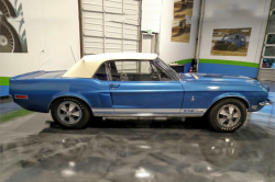 psychoactivelectricity:   1968 FORD SHELBY GT500 CONVERTIBLE
