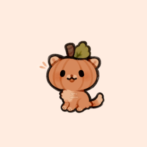 spicymochi:    pumpkin kitty