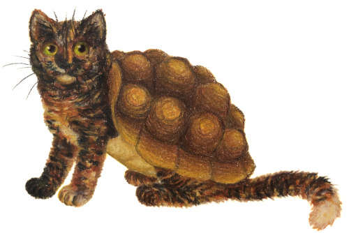 ink-the-artist:lifeishapy:ink-the-artist: hehe… tortoiseshell cat Is this real yeah