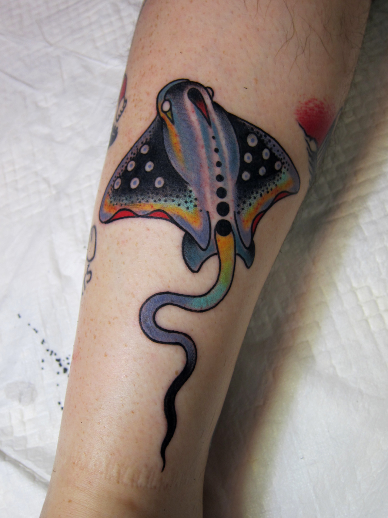 Tattoo uploaded by Patricio Nardi • Stingray tattoo • Tattoodo