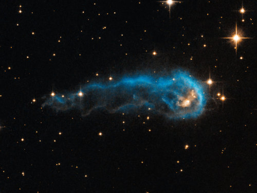 n-a-s-a:IRAS 20324: Evaporating Protostar Image Credit: NASA, ESA, Hubble Heritage Team (STScI/AU