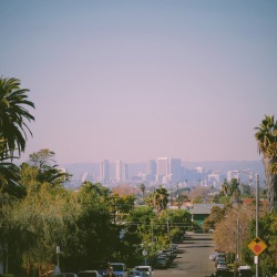 throughtheeseyes:  &ldquo;Winter&rdquo; in Los Angeles