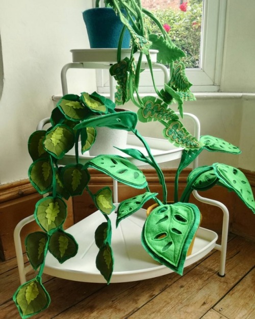silentwalrus1:quietnighty:sosuperawesome:Felt Plants and CactiThe Little Egg Shop on EtsySee our #Et