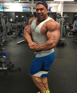 Steve Kuclo