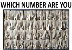 pocoinocente:  a-lil-porn-for-thought:  Ladies? which number represents your goods?   135 or 43 :v