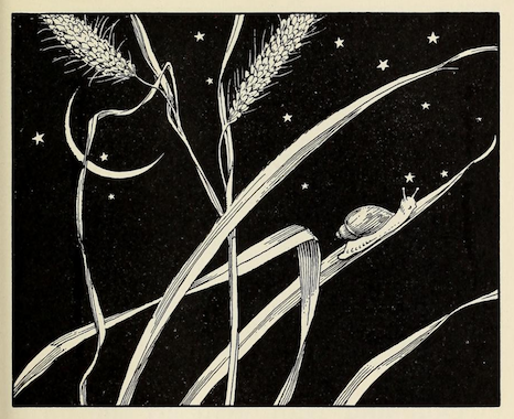 nemfrog:A snail crawls up a blade of grass under the night sky. Outdoor visits. 1934.