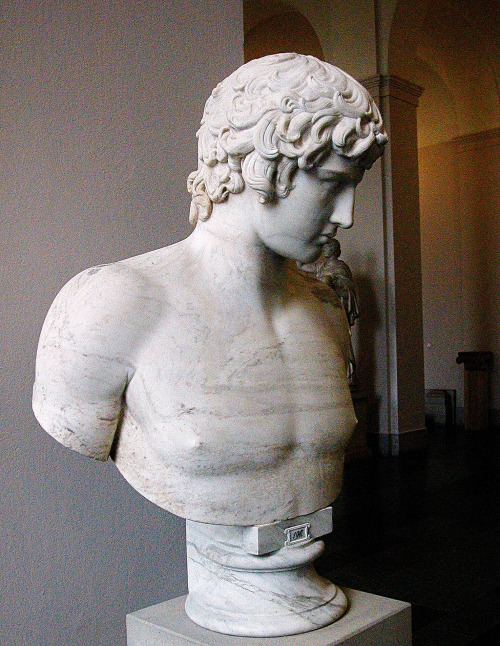 hadrian6:Bust of Antinous. Roman 130-140 A.Dmarble. Altes Museum. Berlin.hadrian6.tumblr.com