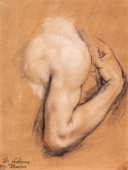 Federico Fiori Barocci Study of a Bent Right Arm 1590