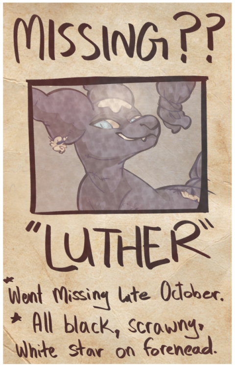 Now I don’t want to alarm anyone, but it appears no one has seen Luther this year! Many of the