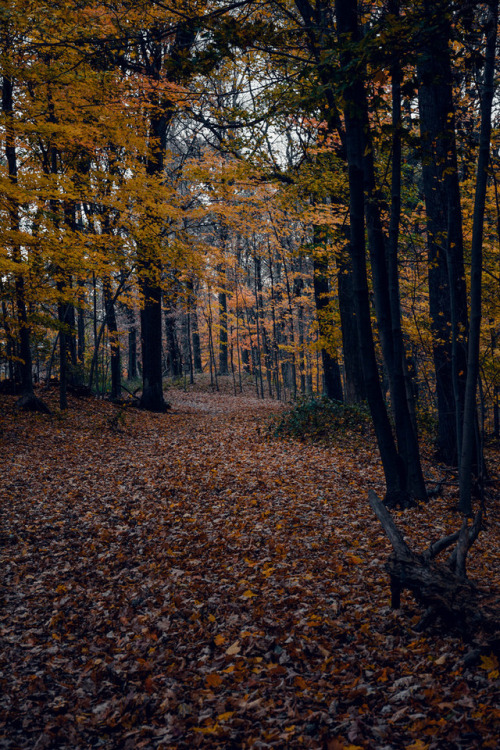 cozyautumnchills - Autumn Moods by laurajswindle on Flickr. 