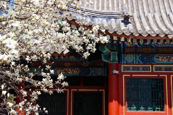 fuckyeahchinesegarden:chinese architecture